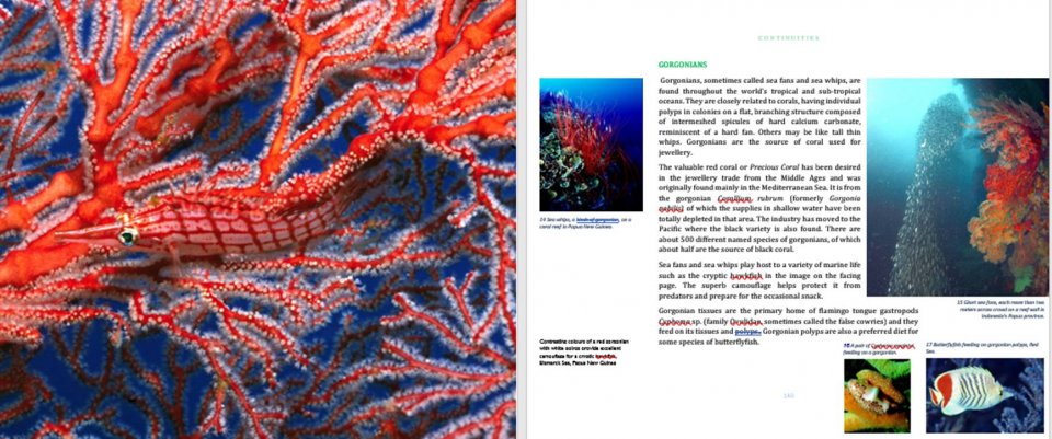 BEYOND EXTINCTION. THE ETERNAL OCEAN 3