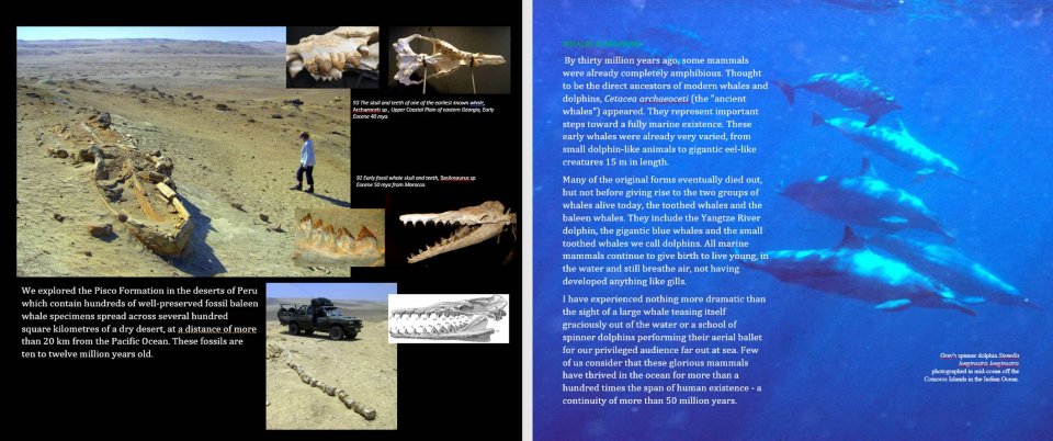 BEYOND EXTINCTION. THE ETERNAL OCEAN 5