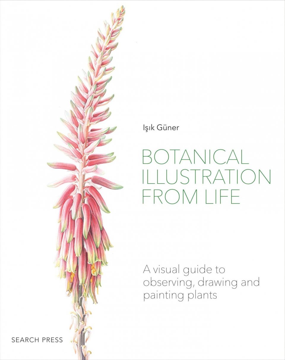 BOTANICAL ILLUSTRATION FROM LIFE 1