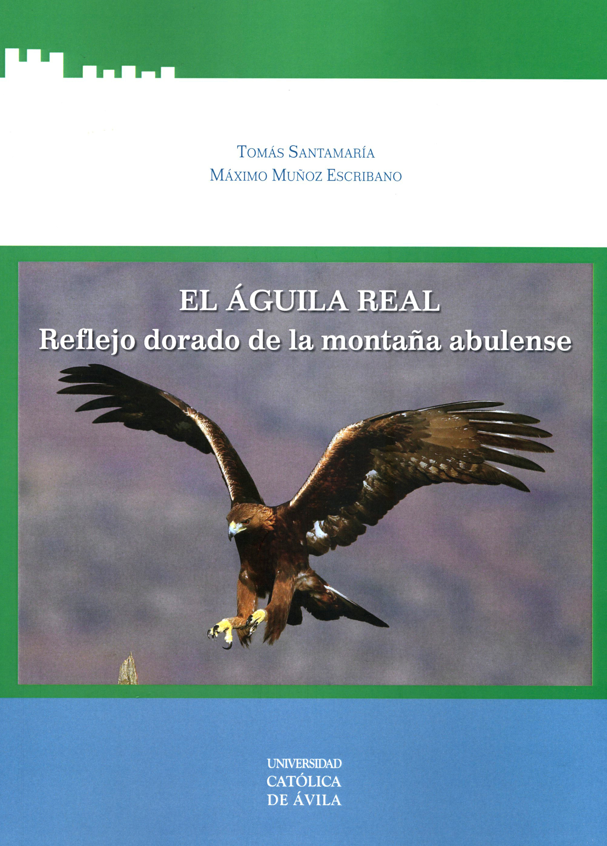 EL ÁGUILA REAL REFLEJO DORADO DE LA MONTAÑA ABULENSE 1