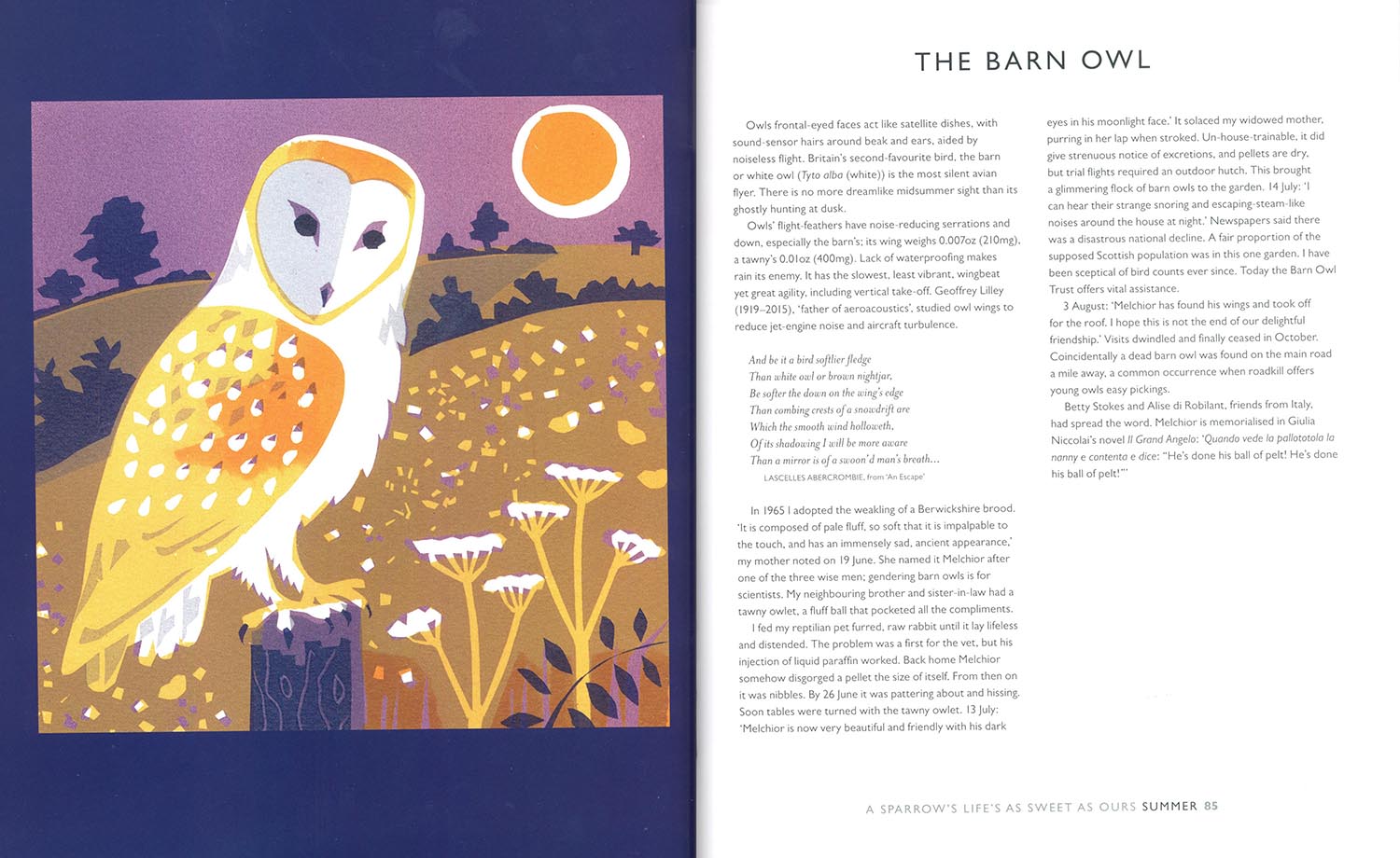 A SPARROW'S LIFE'S AS SWEET AS OURS 3