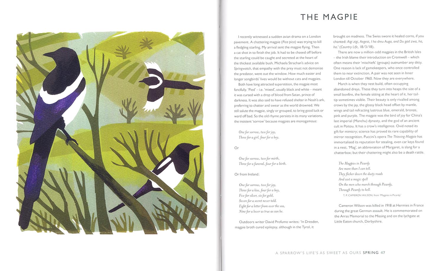 A SPARROW'S LIFE'S AS SWEET AS OURS 4