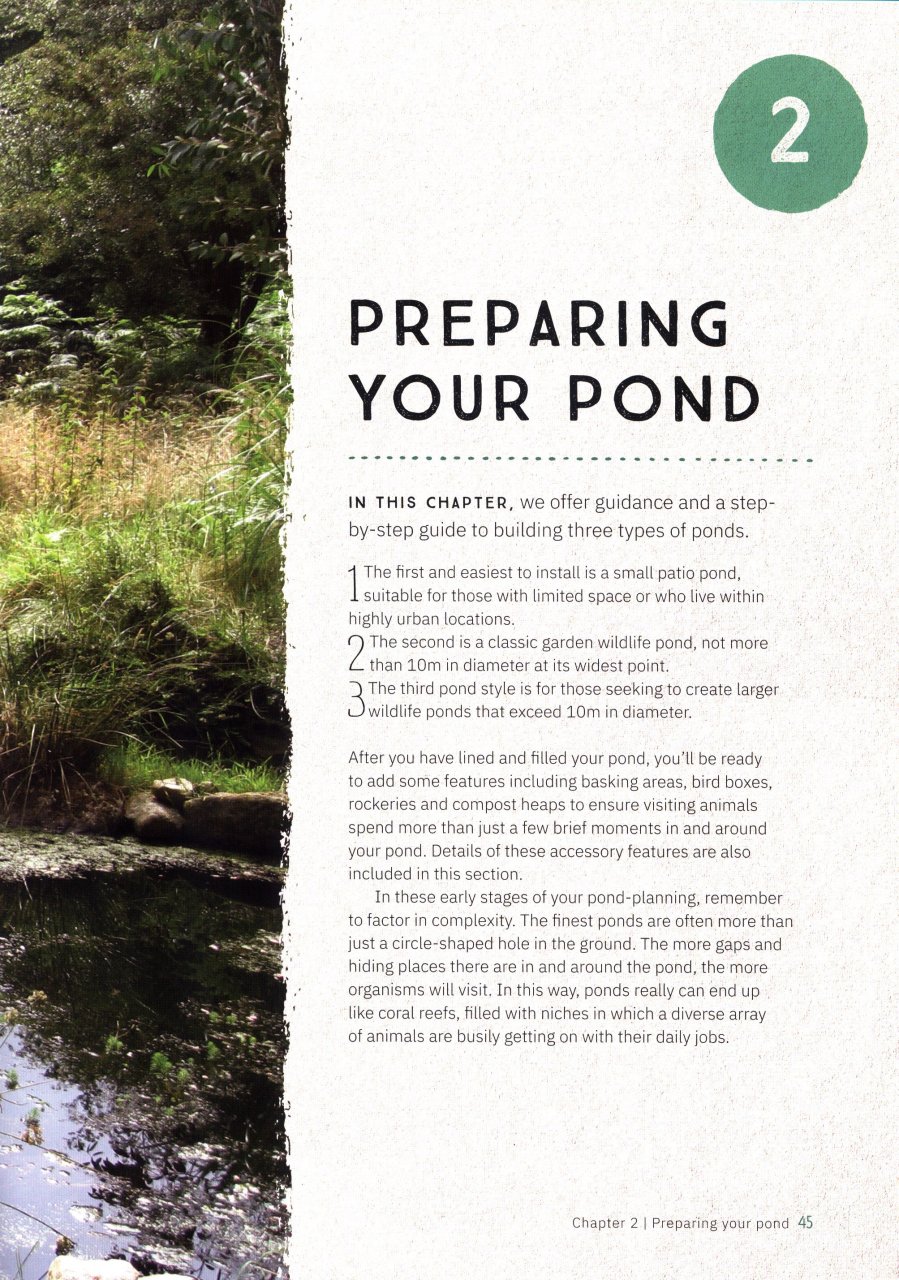 THE WILDLIFE POND BOOK 5