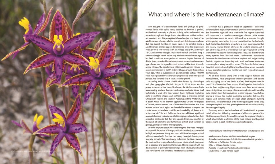 FLORA OF THE MEDITERRANEAN. WITH CALIFORNIA, CHILE, AUSTRALIA & SOUTH AFRICA. AN ILLUSTRATED GUIDE 2