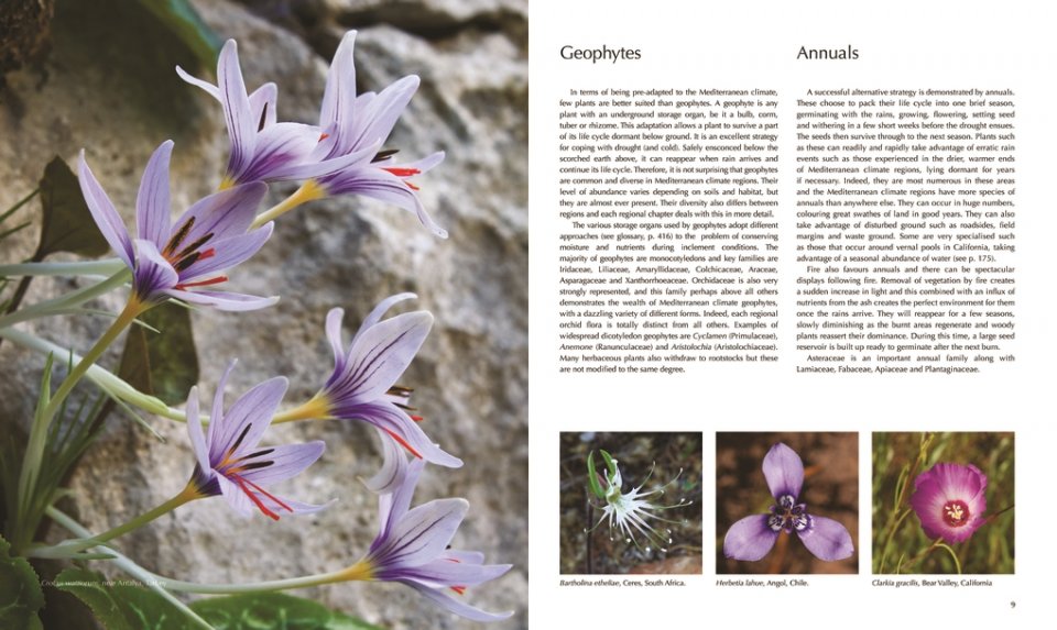FLORA OF THE MEDITERRANEAN. WITH CALIFORNIA, CHILE, AUSTRALIA & SOUTH AFRICA. AN ILLUSTRATED GUIDE 3