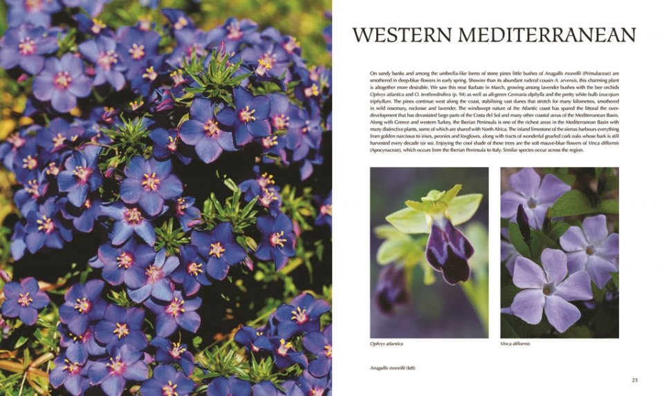 FLORA OF THE MEDITERRANEAN. WITH CALIFORNIA, CHILE, AUSTRALIA & SOUTH AFRICA. AN ILLUSTRATED GUIDE 4