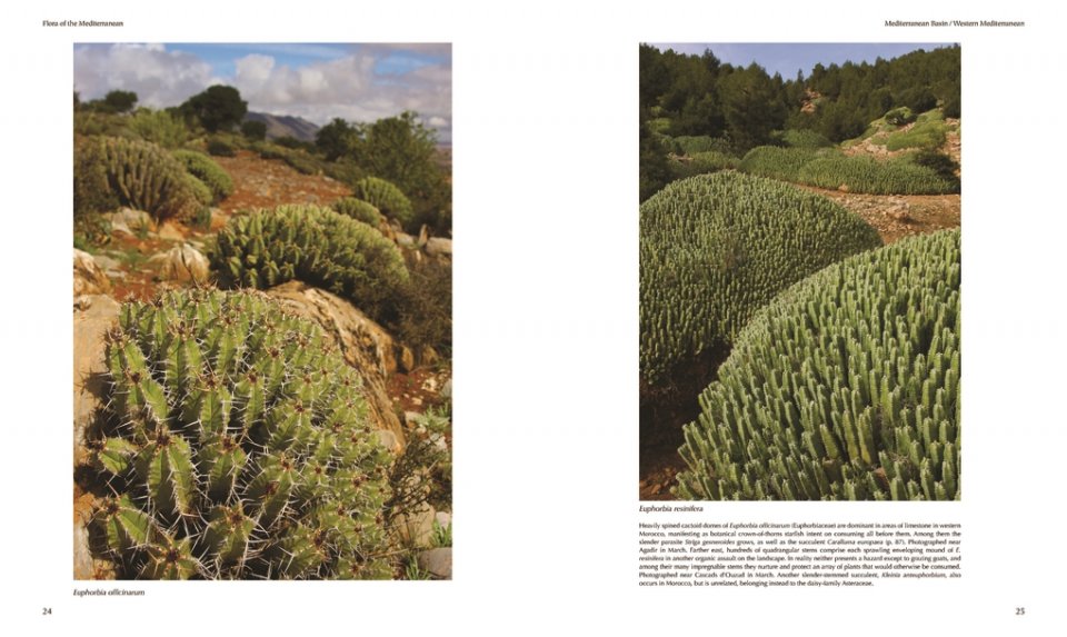 FLORA OF THE MEDITERRANEAN. WITH CALIFORNIA, CHILE, AUSTRALIA & SOUTH AFRICA. AN ILLUSTRATED GUIDE 5