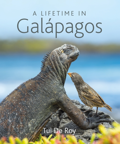 A LIFETIME IN GALAPAGOS