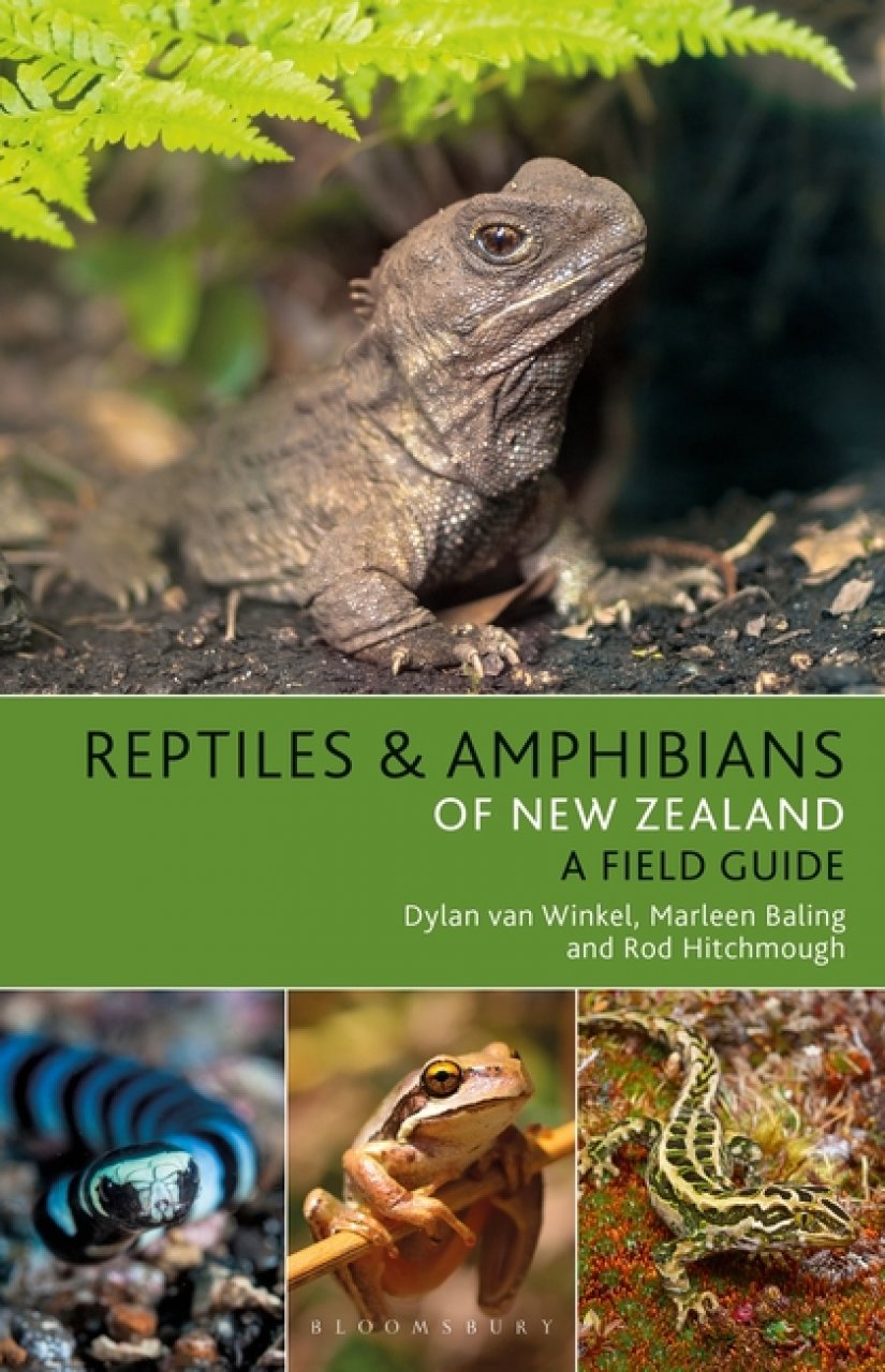 REPTILES AND AMPHIBIANS OF NEW ZEALAND. A FIELD GUIDE