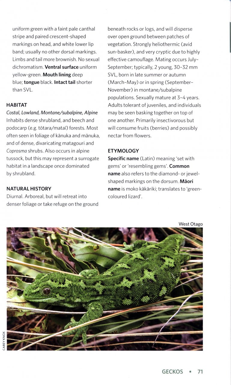 REPTILES AND AMPHIBIANS OF NEW ZEALAND. A FIELD GUIDE 3