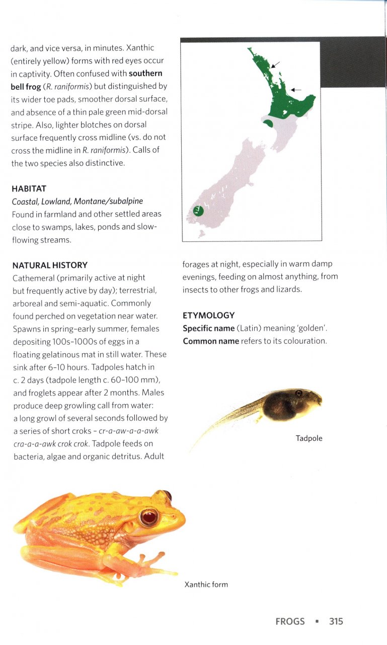 REPTILES AND AMPHIBIANS OF NEW ZEALAND. A FIELD GUIDE 4