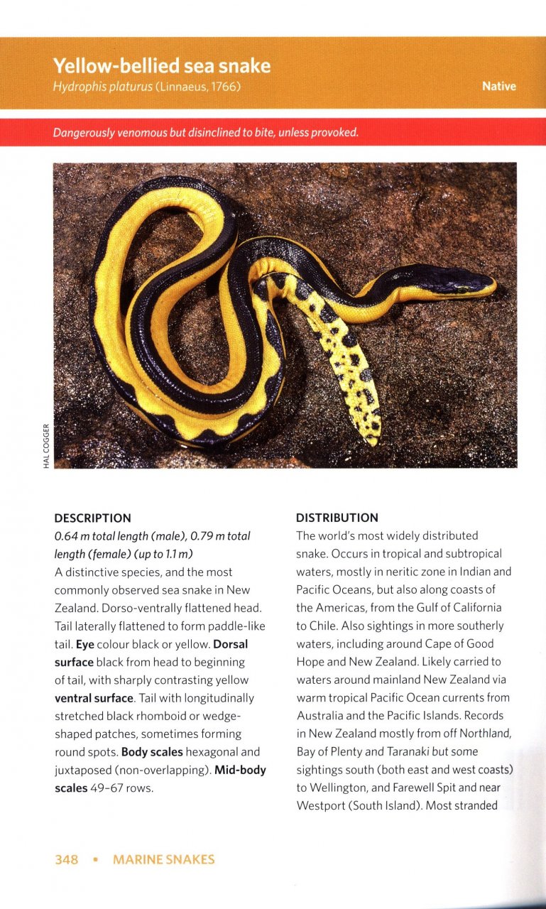 REPTILES AND AMPHIBIANS OF NEW ZEALAND. A FIELD GUIDE 5