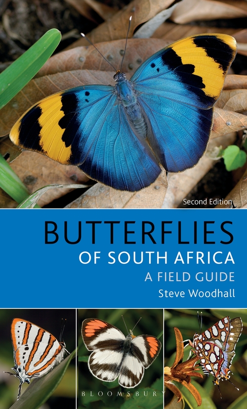 FIELD GUIDE TO BUTTERFLIES OF SOUTH AFRICA. A FIELD