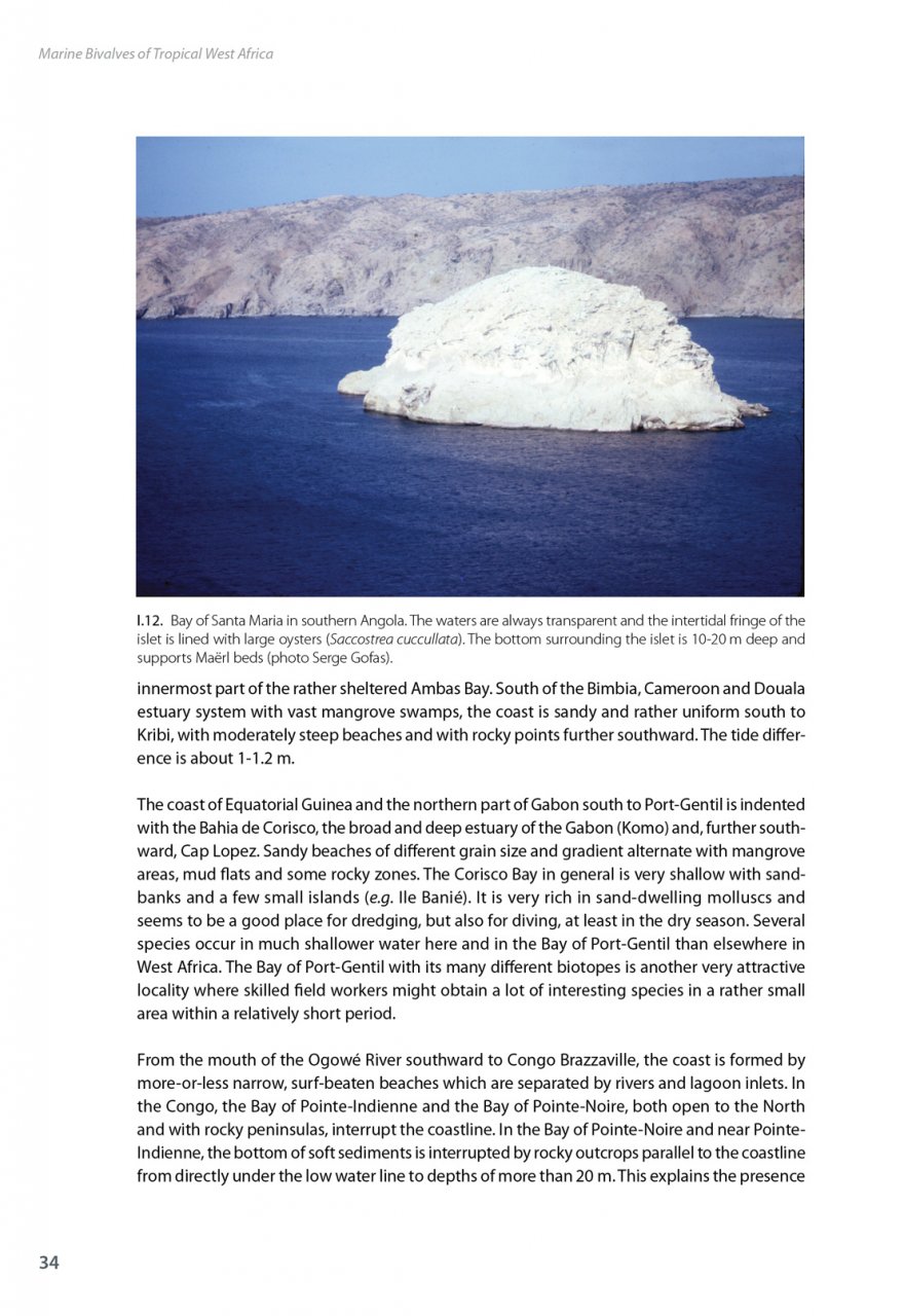 MARINE BIVALVES OF TROPICAL WEST AFRICA 2