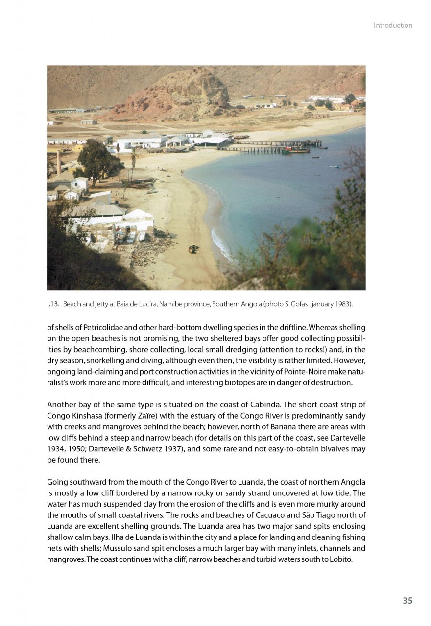 MARINE BIVALVES OF TROPICAL WEST AFRICA 5