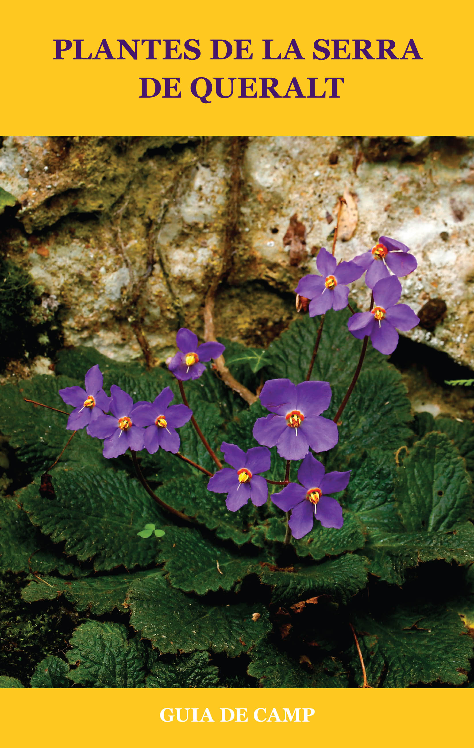 PLANTES DE LA SERRA DE QUERALT. GUIA DE CAMP 1