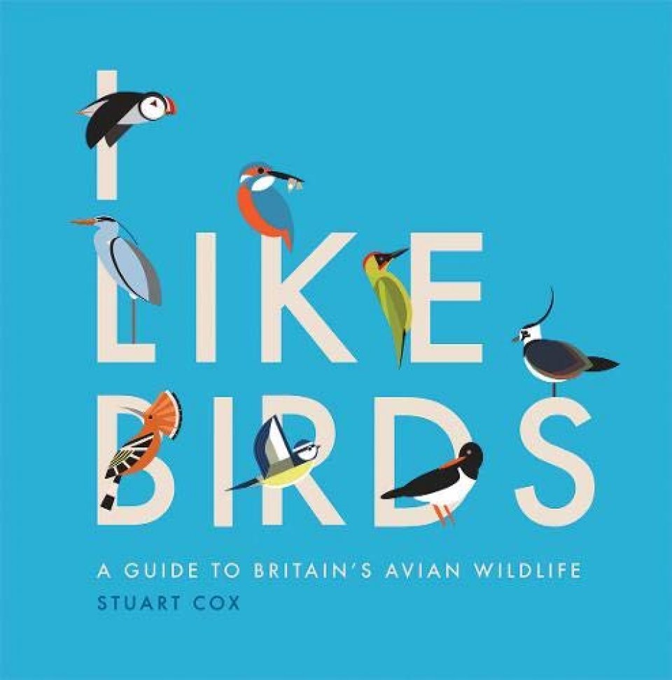 I LIKE BIRDS: A GUIDE TO BRITAIN'S AVIAN WILDLIFE 1