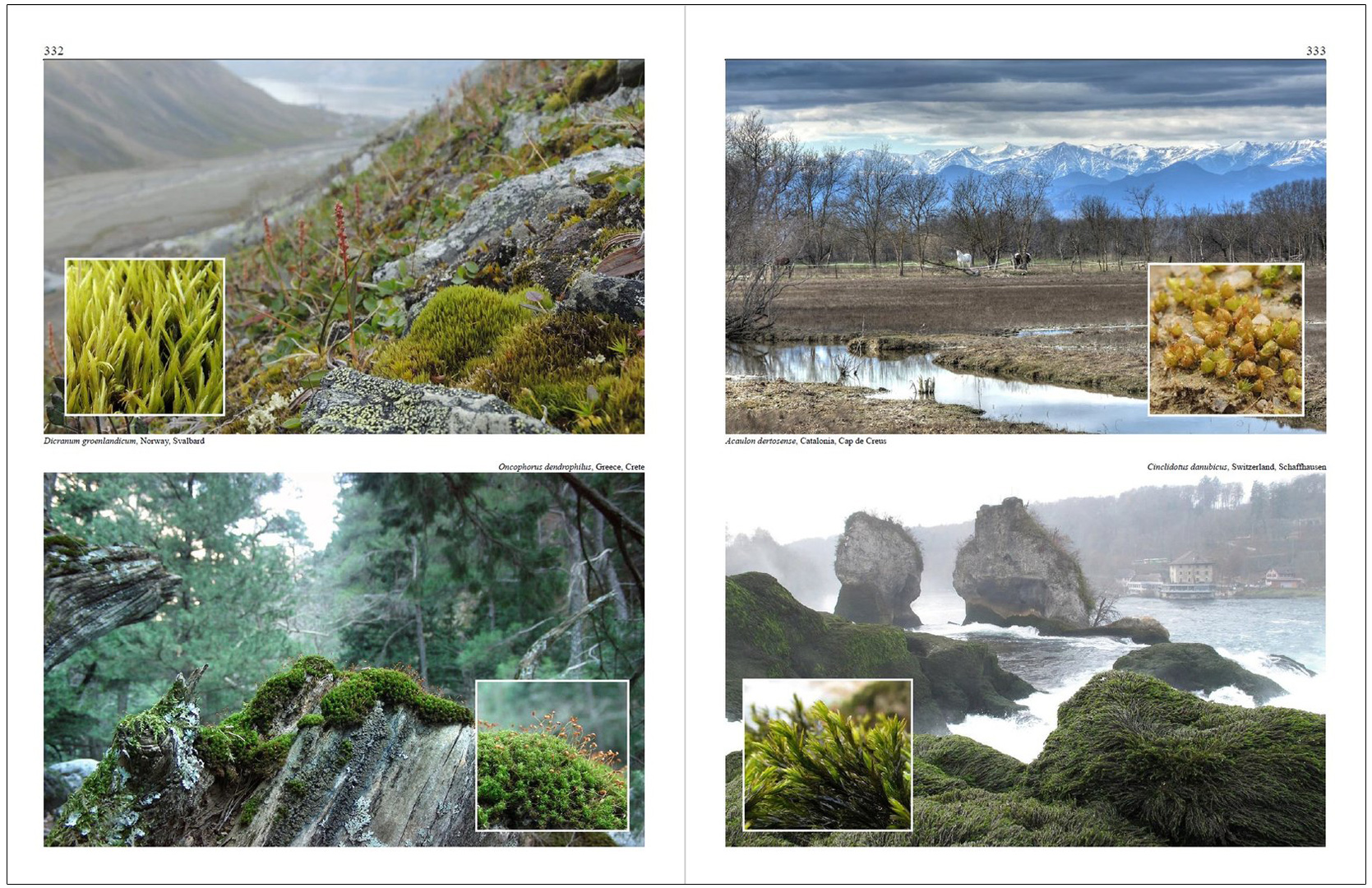 MOSSES OF EUROPE: A PHOTOGRAPHIC FLORA 3 VOLUME SET 2