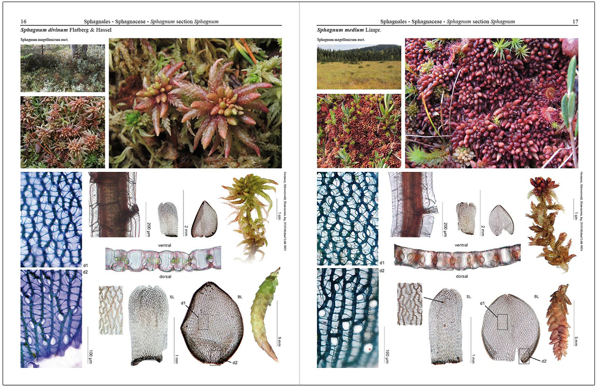 MOSSES OF EUROPE: A PHOTOGRAPHIC FLORA 3 VOLUME SET 3