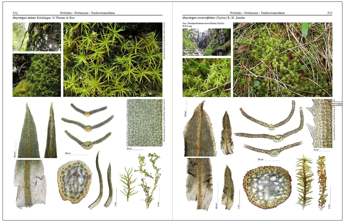 MOSSES OF EUROPE: A PHOTOGRAPHIC FLORA 3 VOLUME SET 4