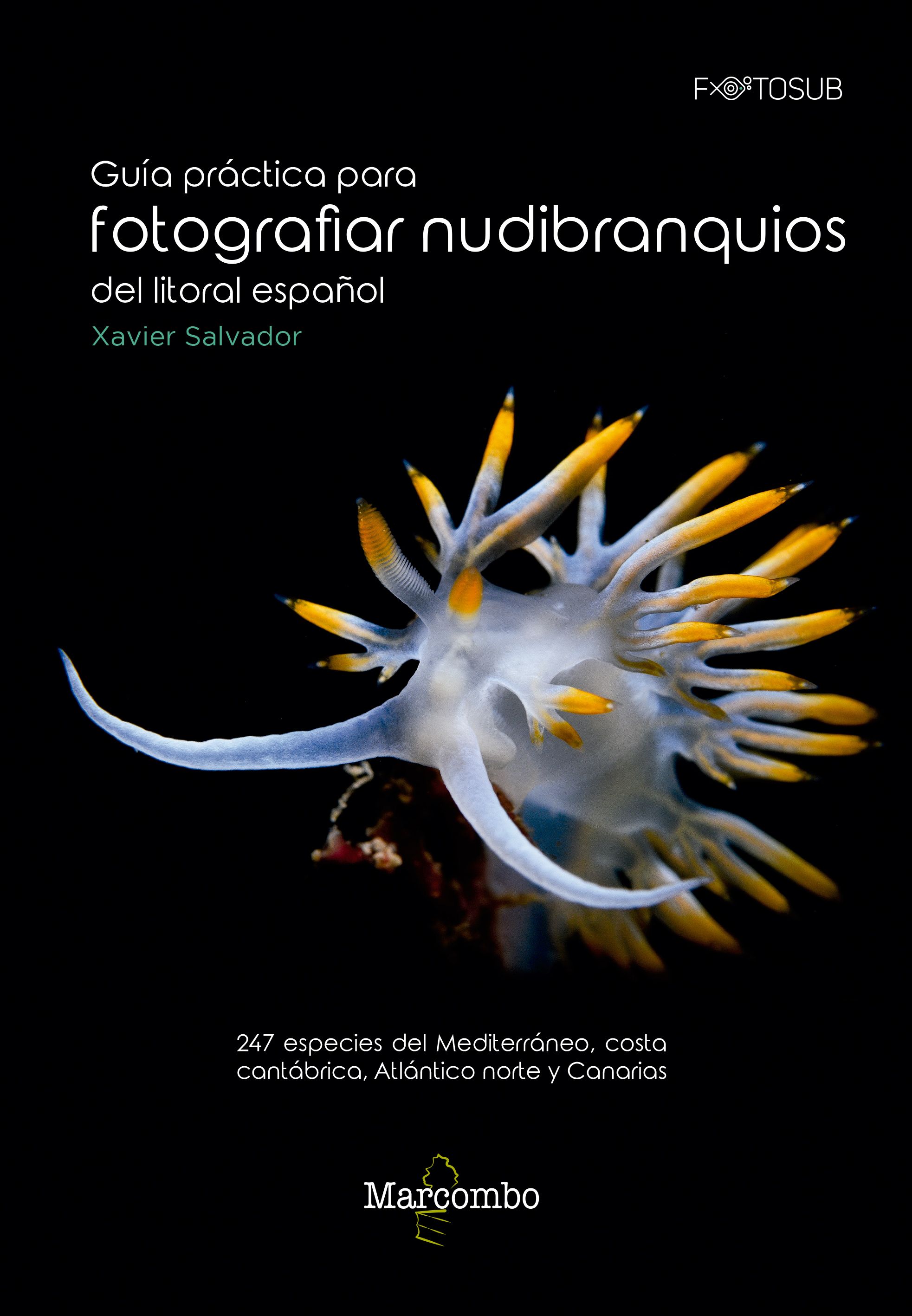 GUÍA PRÁCTICA PARA FOTOGRAFIAR NUDIBRANQUIOS DEL LITORAL ESPAÑOL. 247 ESPECIES DEL MEDITERRÁNEO, COSTA CANTÁBRICA, ATLÁNTICO NORTE Y CANARIAS