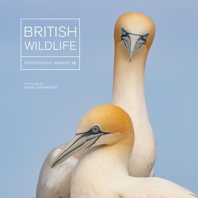 BRITISH WILDLIFE PHOTOGRAPHY AWARDS. COLLECTION 10 1