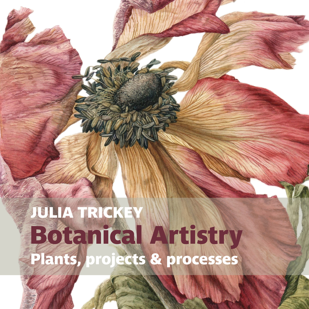 BOTANICAL ARTISTRY 1