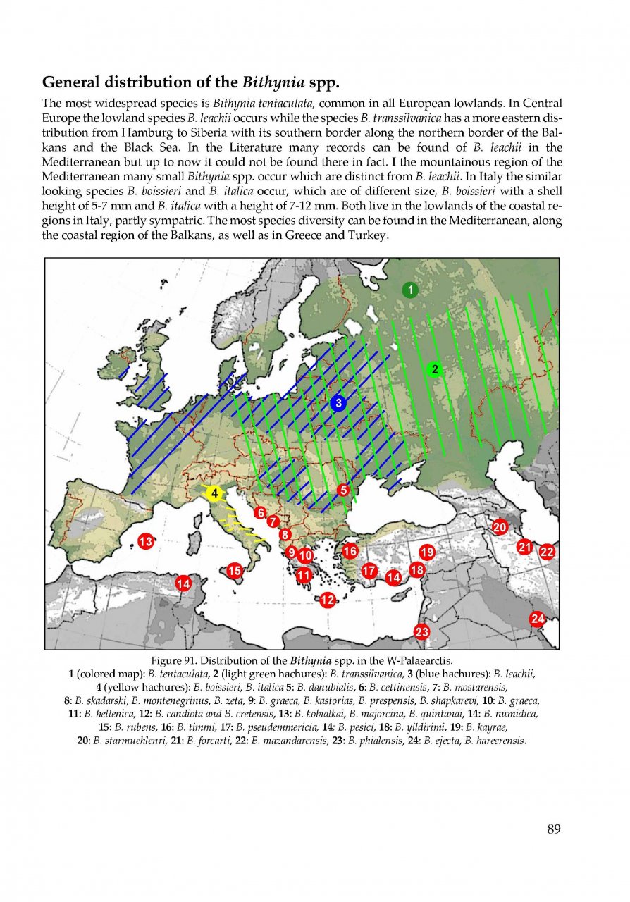 THE FRESHWATER GASTROPODS OF THE WEST-PALAEARCTIS. VOLUME 1 4