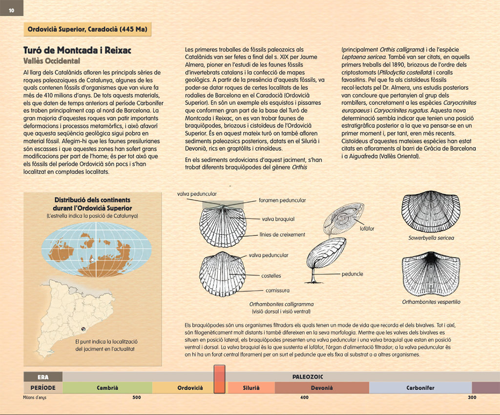 LA CATALUNYA PREHISTÒRICA EN 25 JACIMENTS PALEONTOLÒGICS                                                                                               2