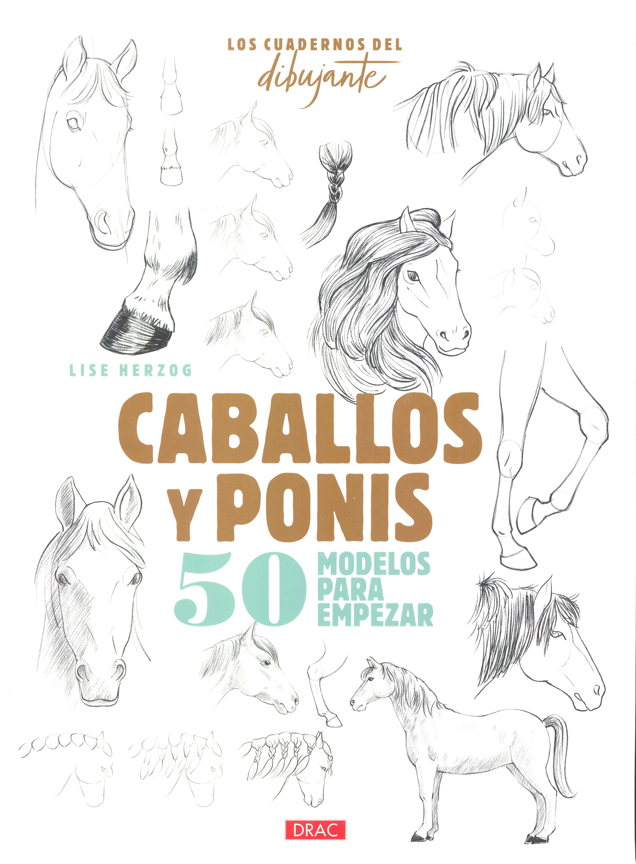 CABALLOS Y PONIS. 50 MODELOS PARA EMPEZAR 1