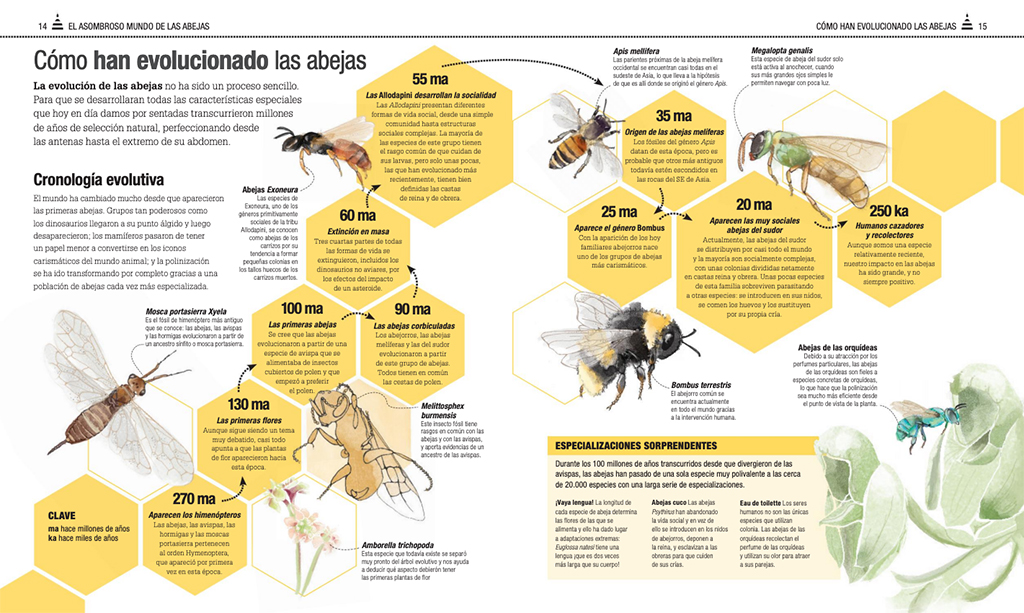 EL LIBRO DE LAS ABEJAS 2