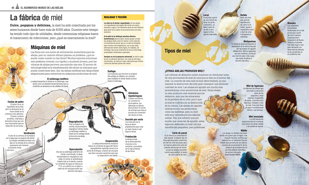 EL LIBRO DE LAS ABEJAS 3