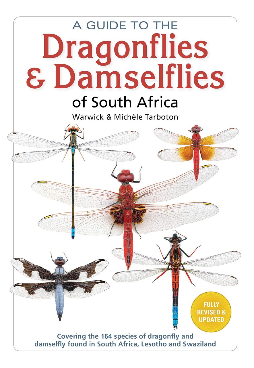 A GUIDE TO THE DRAGONFLIES AND DAMSELFLIES OF SOUTH AFRICA: COVERING THE 164 SPECIES OF DRAGONFLY AND DAMSELFLY FOUND IN SOUTH AFRICA, LESOTHO AND SWA