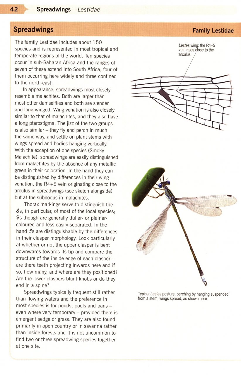 A GUIDE TO THE DRAGONFLIES AND DAMSELFLIES OF SOUTH AFRICA: COVERING THE 164 SPECIES OF DRAGONFLY AND DAMSELFLY FOUND IN SOUTH AFRICA, LESOTHO AND SWA 4