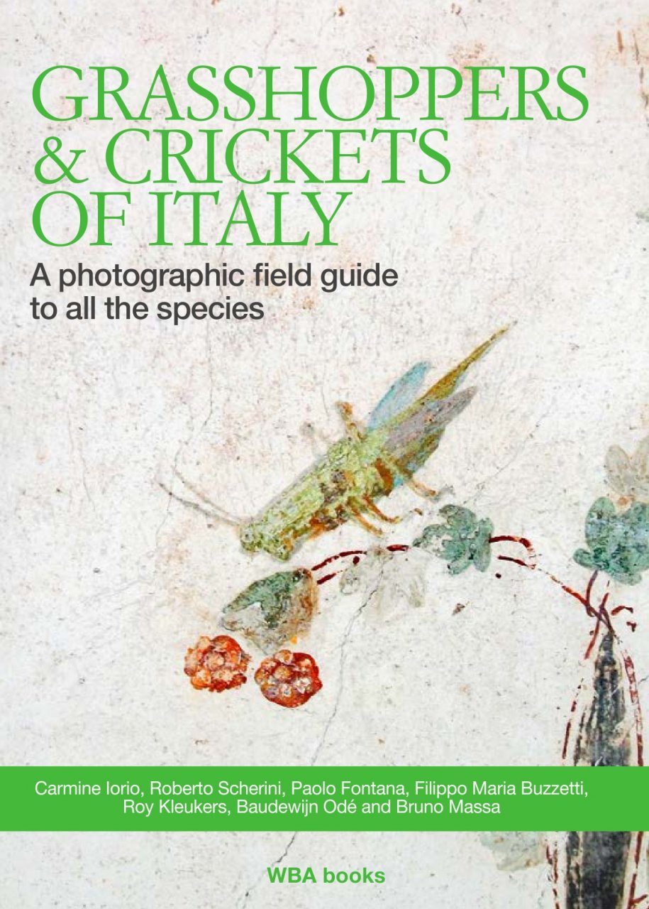 GRASSHOPPERS & CRICKETS OF ITALY. A PHOTOGRAPHIC FIELD GUIDE TO ALL THE SPECIES