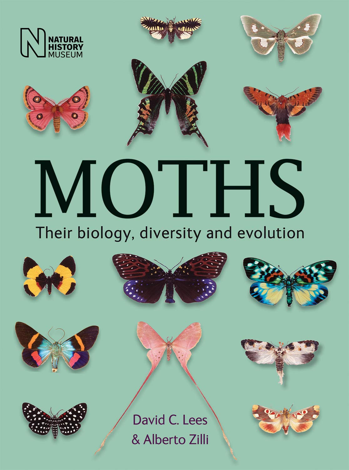 MOTHS. THEIR BIOLOGY, DIVERSITY AND EVOLUTION 1
