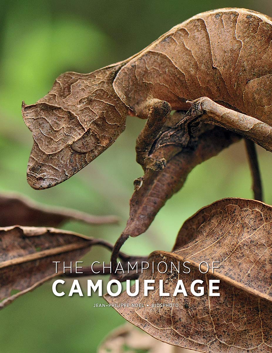 THE CHAMPIONS OF THE CAMOUFLAGE 1