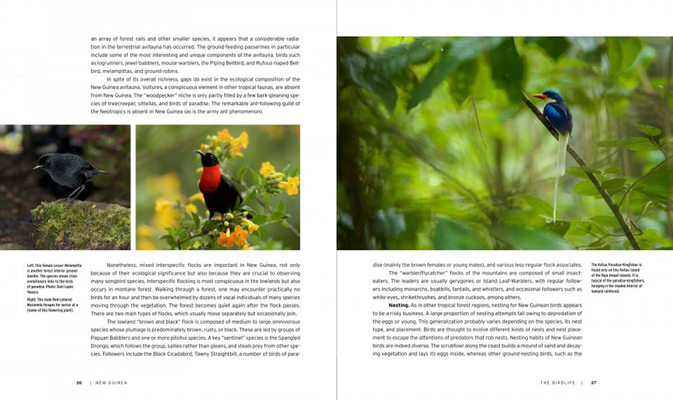 NEW GUINEA: NATURE AND CULTURE OF EARTH'S GRANDEST ISLAND 2