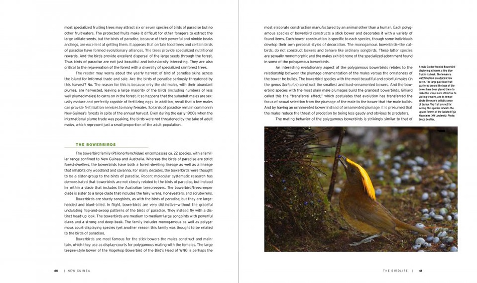 NEW GUINEA: NATURE AND CULTURE OF EARTH'S GRANDEST ISLAND 3