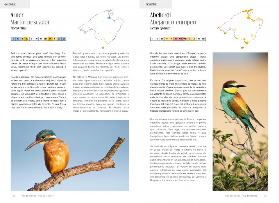AUS/AVES DE MALLORCA. ON I QUAN OBSERVAR-LES / DÓNDE Y CUÁNDO OBSERVARLAS 2