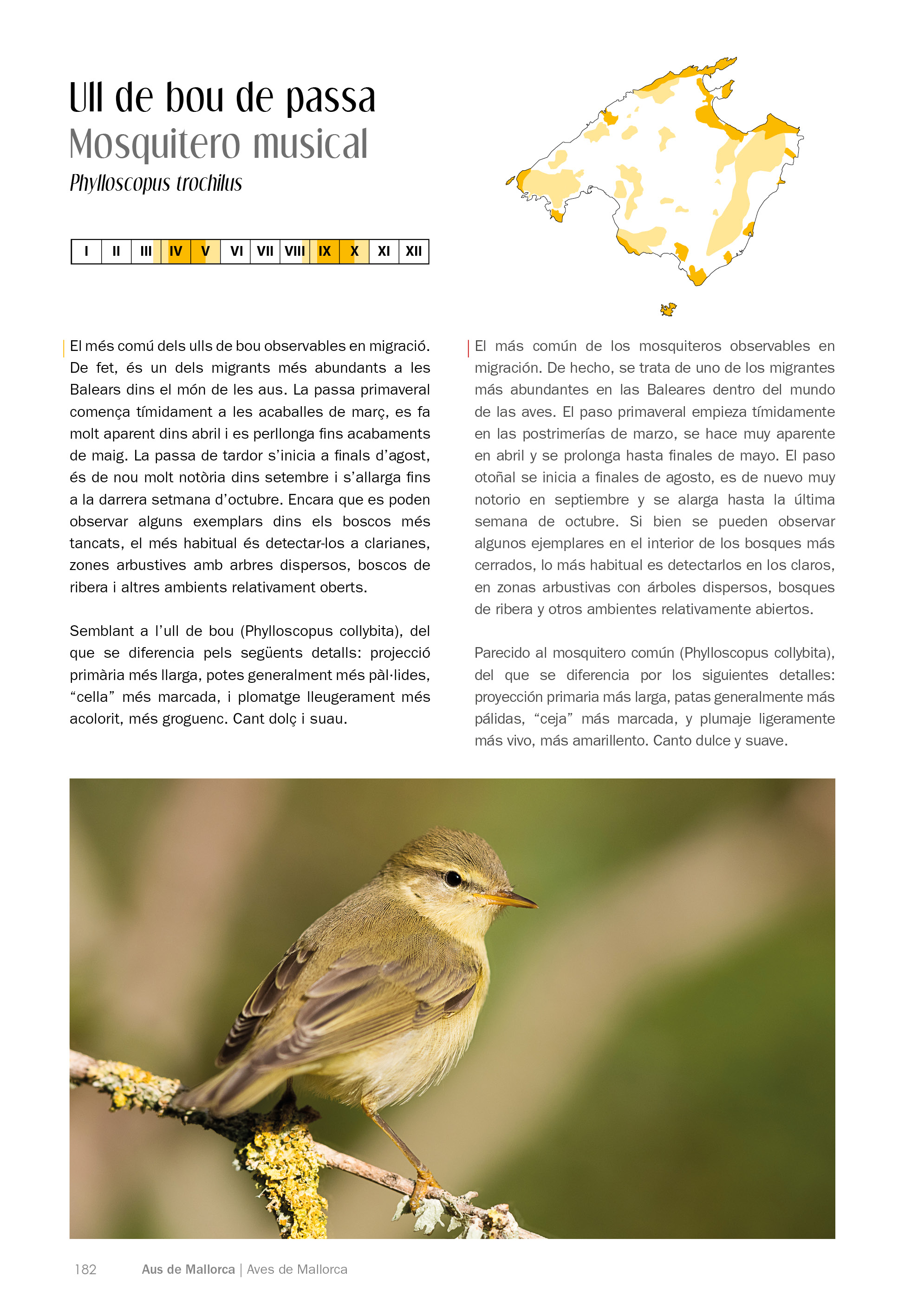 AUS/AVES DE MALLORCA. ON I QUAN OBSERVAR-LES / DÓNDE Y CUÁNDO OBSERVARLAS 4