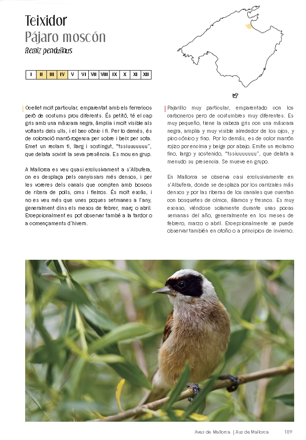 AUS/AVES DE MALLORCA. ON I QUAN OBSERVAR-LES / DÓNDE Y CUÁNDO OBSERVARLAS 5