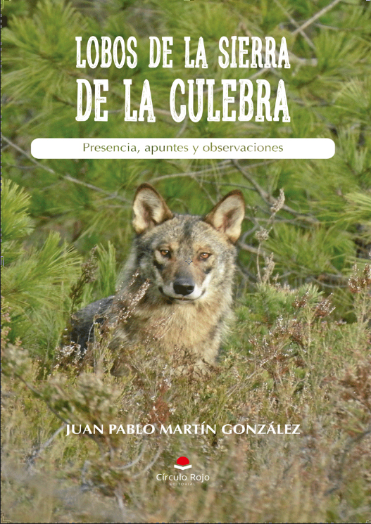 LOBOS DE LA SIERRA DE LA CULEBRA. PRESENCIA, APUNTES Y OBSERVACIONES