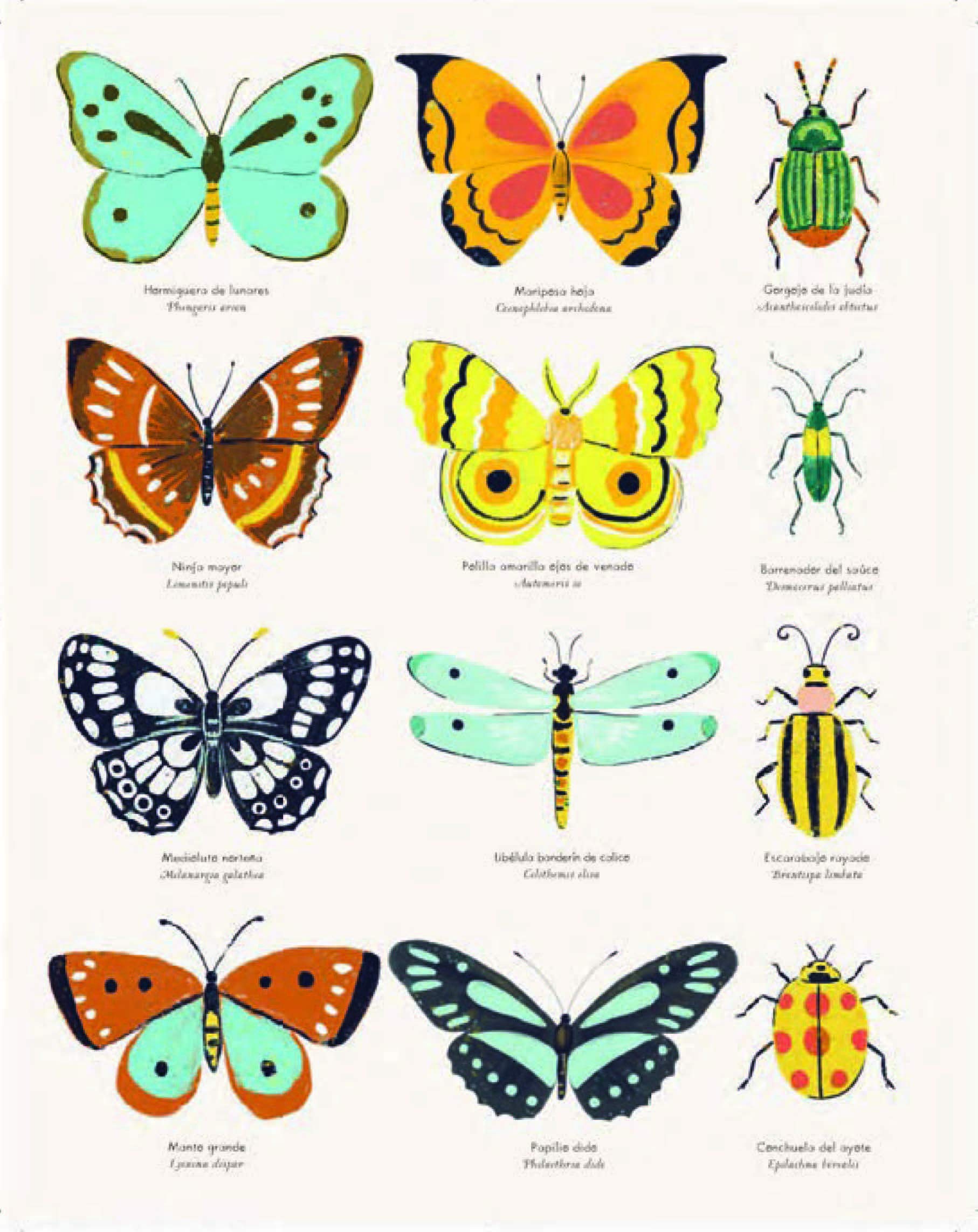EL ORIGEN DE LAS ESPECIES DE CHARLES DARWIN 2