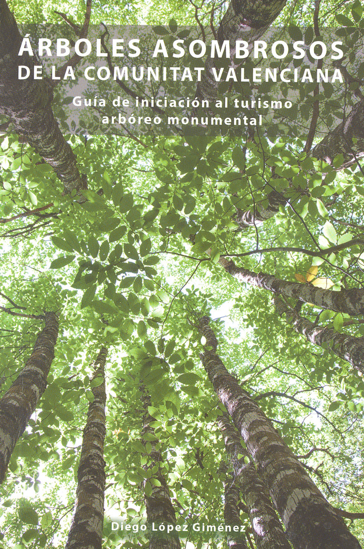 ÁRBOLES ASOMBROSOS DE LA COMUNIDAD VALENCIANA 1