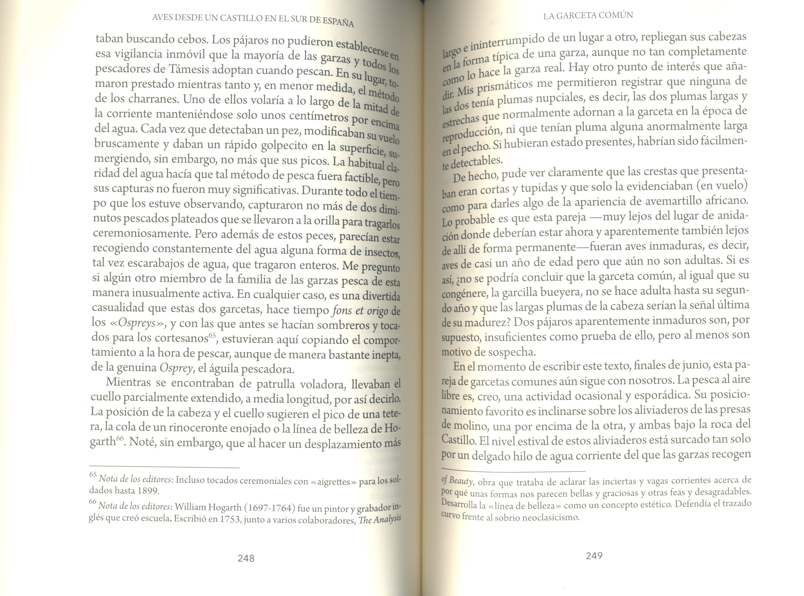 AVES DESDE UN CASTILLO EN EL SUR DE ESPAÑA 2