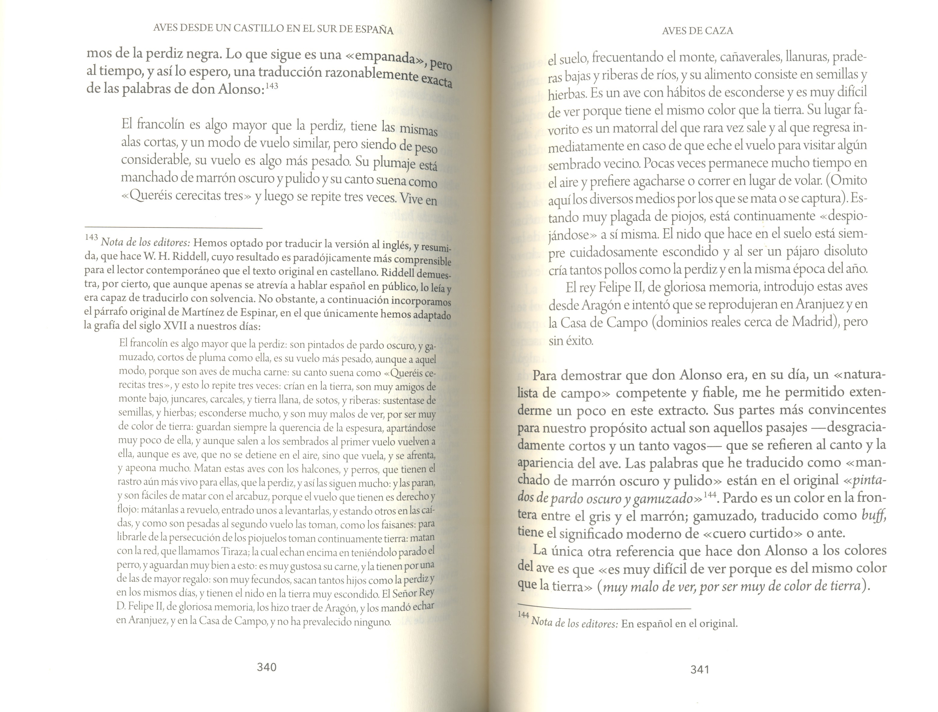 AVES DESDE UN CASTILLO EN EL SUR DE ESPAÑA 3