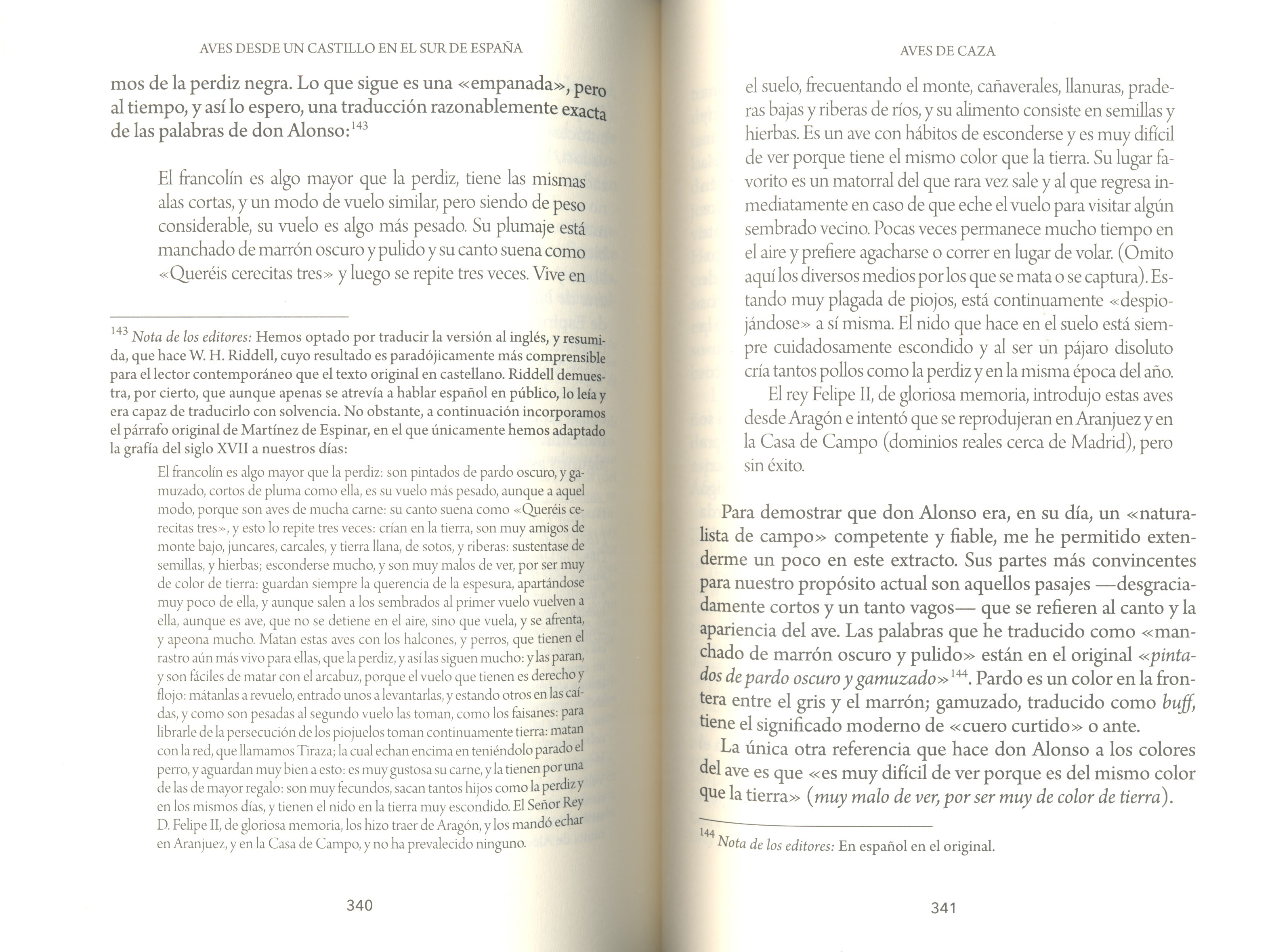 AVES DESDE UN CASTILLO EN EL SUR DE ESPAÑA 4