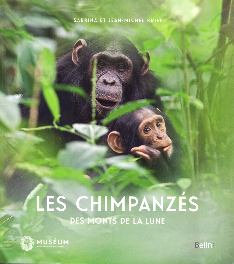 LES CHIMPANZÉS DES MONTS DE LA LUNE 1