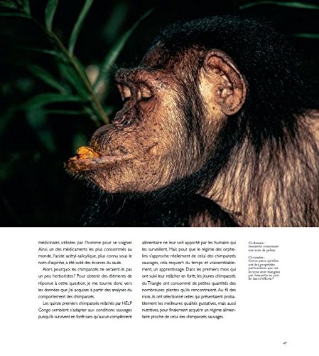 LES CHIMPANZÉS DES MONTS DE LA LUNE 3